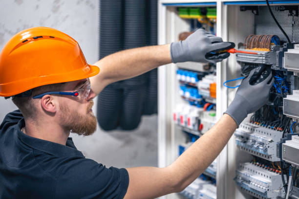 Best Electric Panel Repair  in Hawley, MN